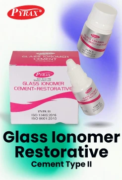 Pyrax Glass Ionomer Restorative Cement Type II