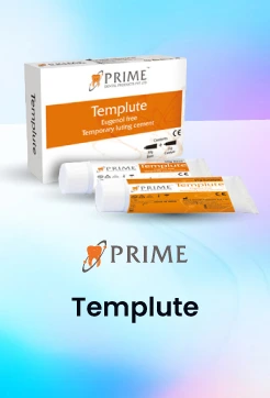 Prime Dental Templute