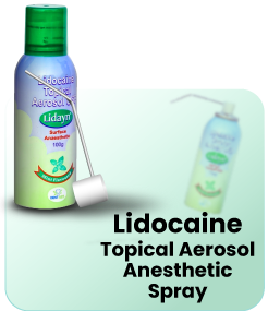 Lidayn Spray Mint Flavored Lidocaine Topical Aerosol Anesthetic Spray