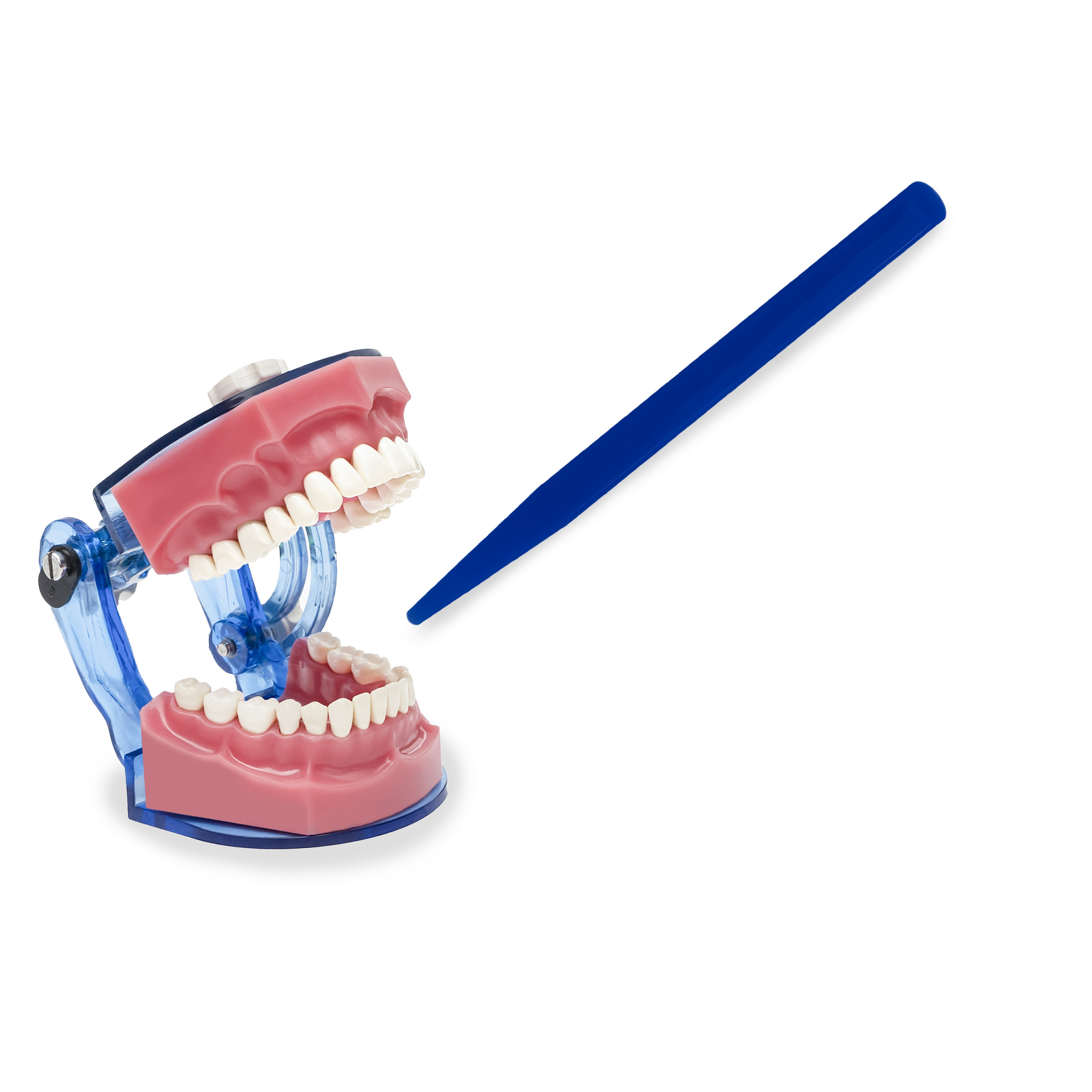 Buy Agate Spatula/GI Spatula at discounted price Dent Ganga