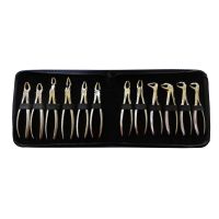 Trust & Care Standard Tooth Extraction Forceps Kit (Adult) Set Of 12-Pcs