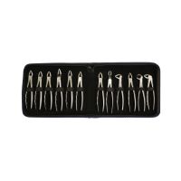 Trust & Care Premium Tooth Extraction Forceps Kit (Adult) Set Of 12-Pcs