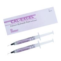 Ammdent Cal Excel Radiopaque Calcium Hydroxide 2x2gm Syringe