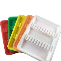 Oro Autoclavable Instrument Tray (Mini) Colored