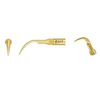 Woodpecker Scaler Tips Titanium Coated G1T