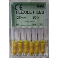 K-File Flexile File 25mm #20 - Mani