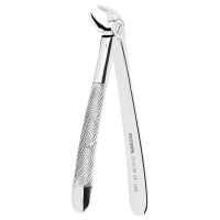 Forceps For N.38 Lower Incisors Canines