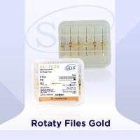 HA GOLD ROTARY FILE – PACK OF 6 Assorted 21mm