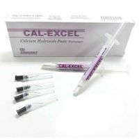 Ammdent Cal Excel Calcium Hydroxide Paste