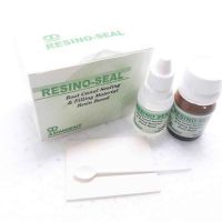 Ammdent ResinoSeal Resin Based Root Canal Sealer
