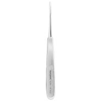 Root Tip Warkwick James Fig 1