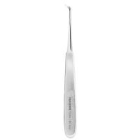 Root Tip Picks Warwick James Fig 3