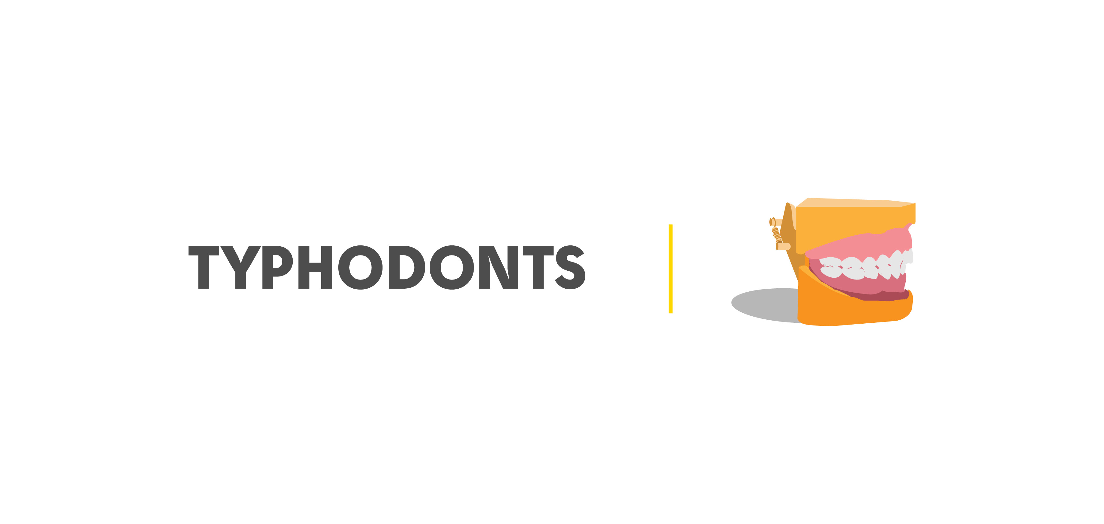Typhodonts