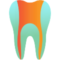 Endodontics