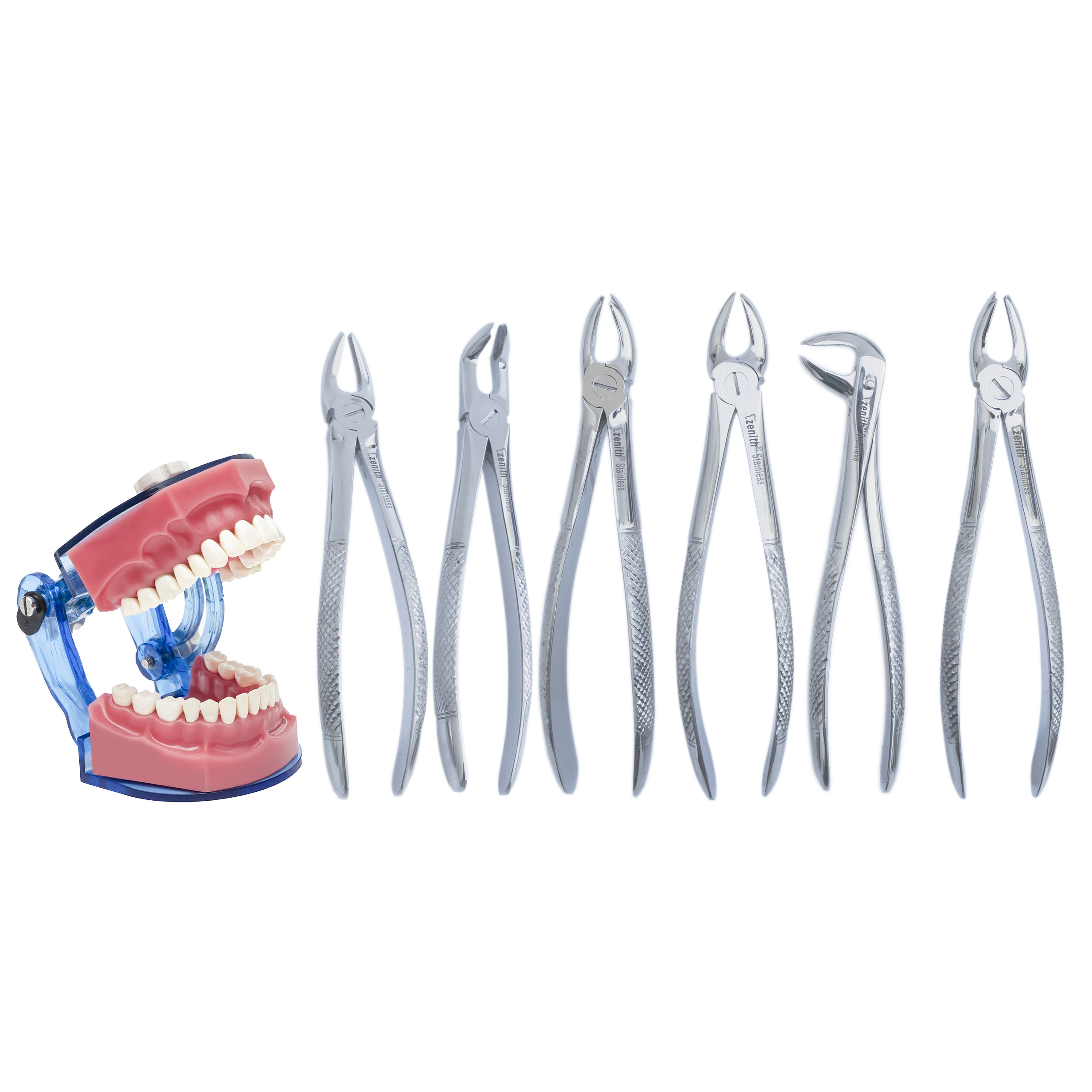 Extraction Foreceps Adult Kit Of 12