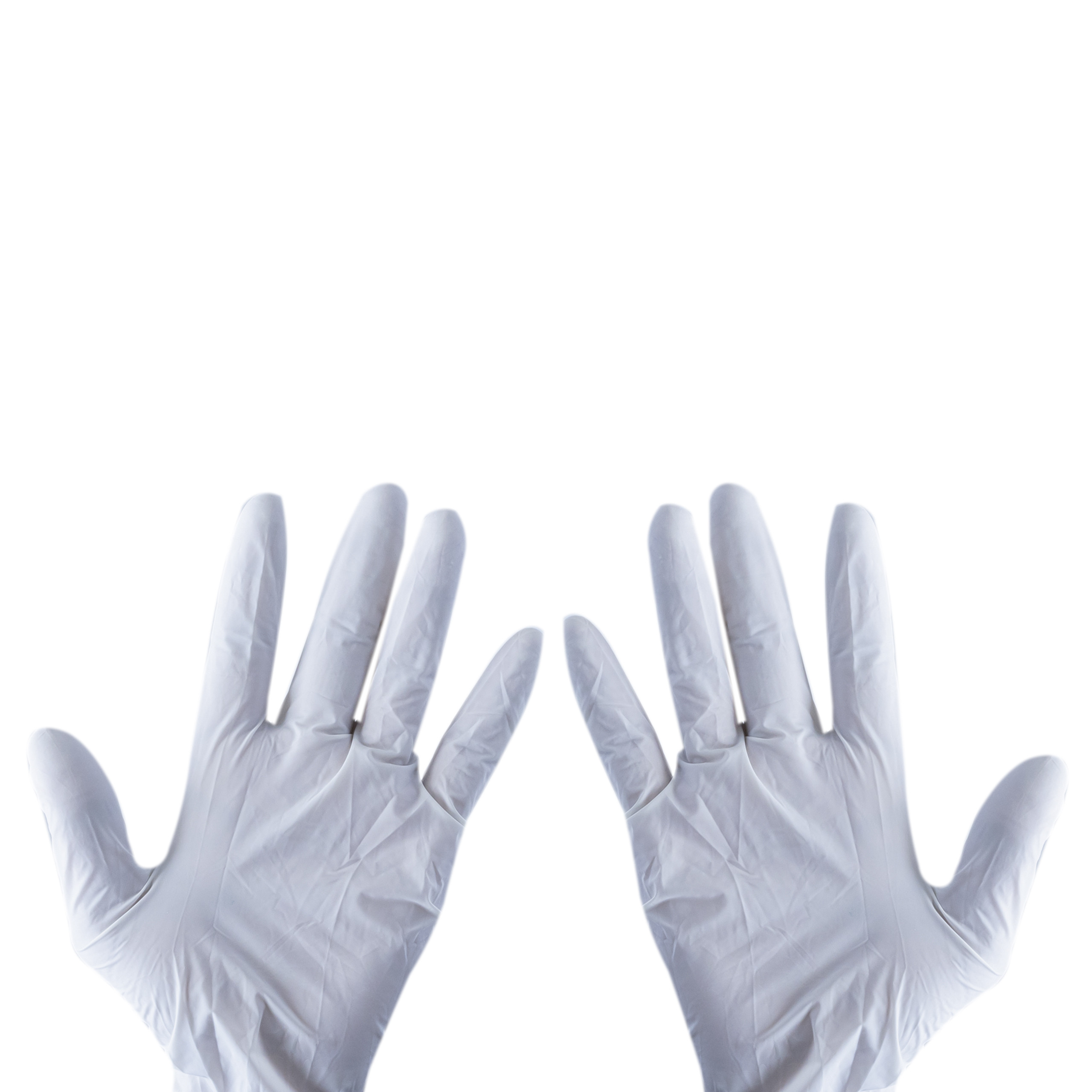 Zenplus Latex Gloves Large