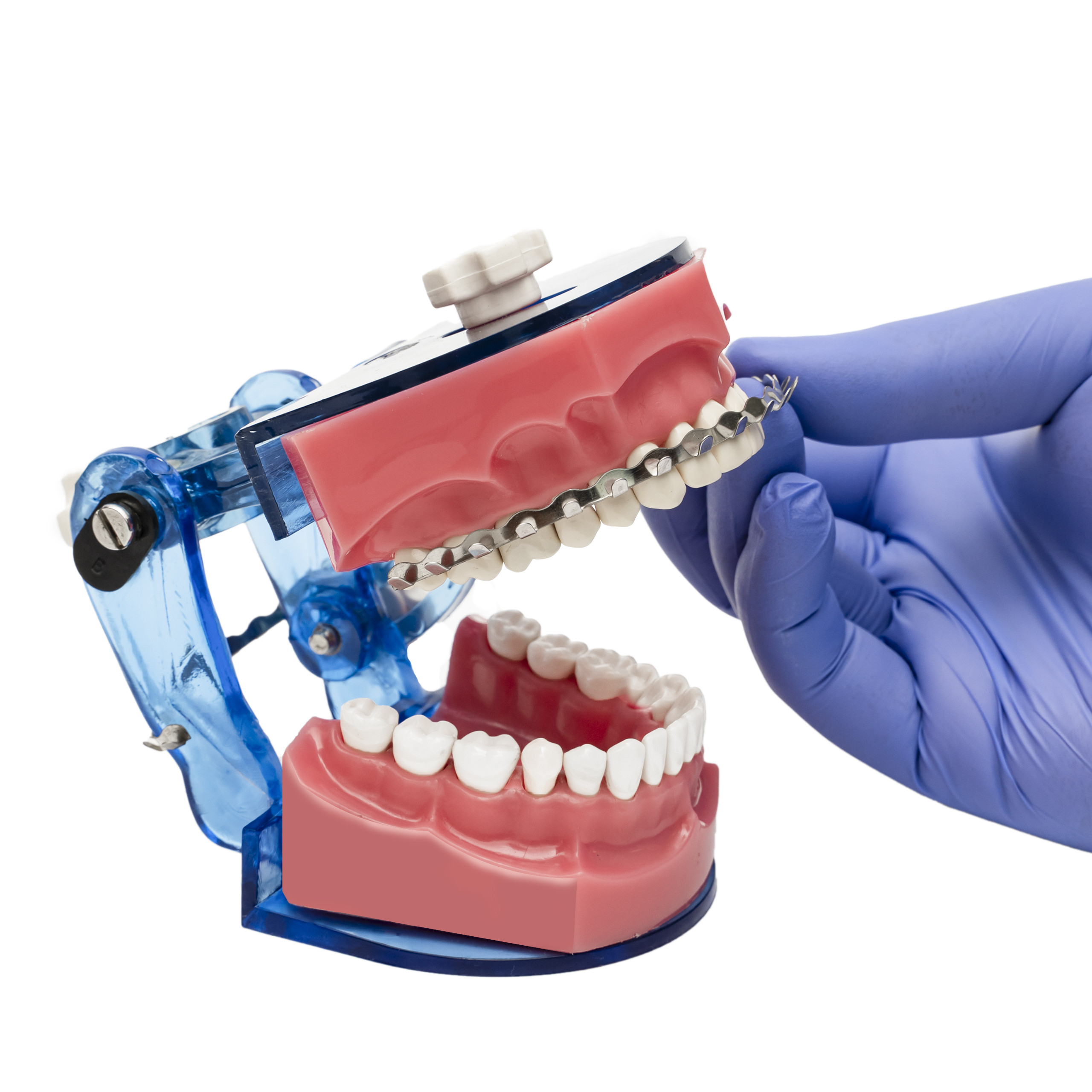 Orthotech Orthodontic Arch Bar