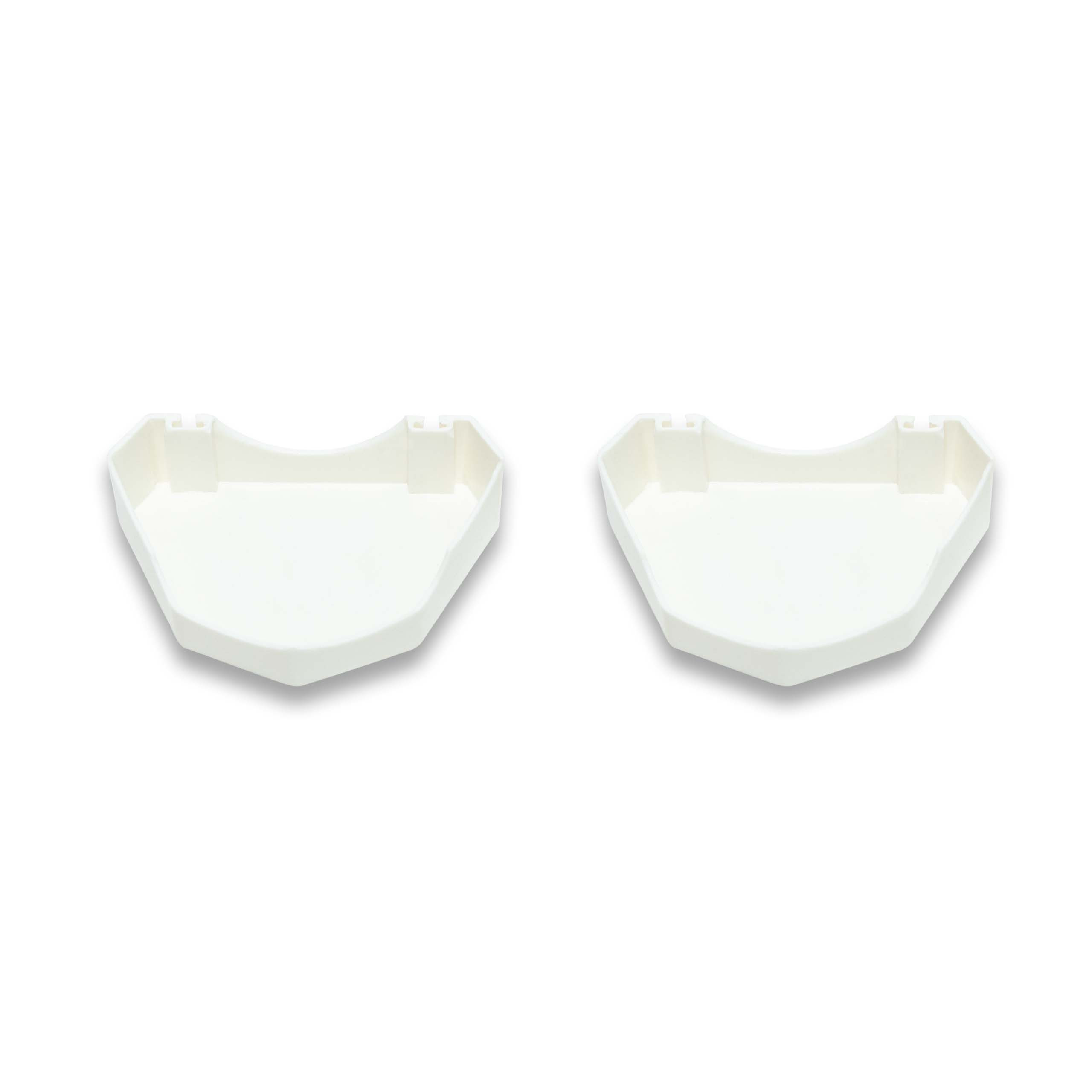 Orthodontic Plastic Model Bose