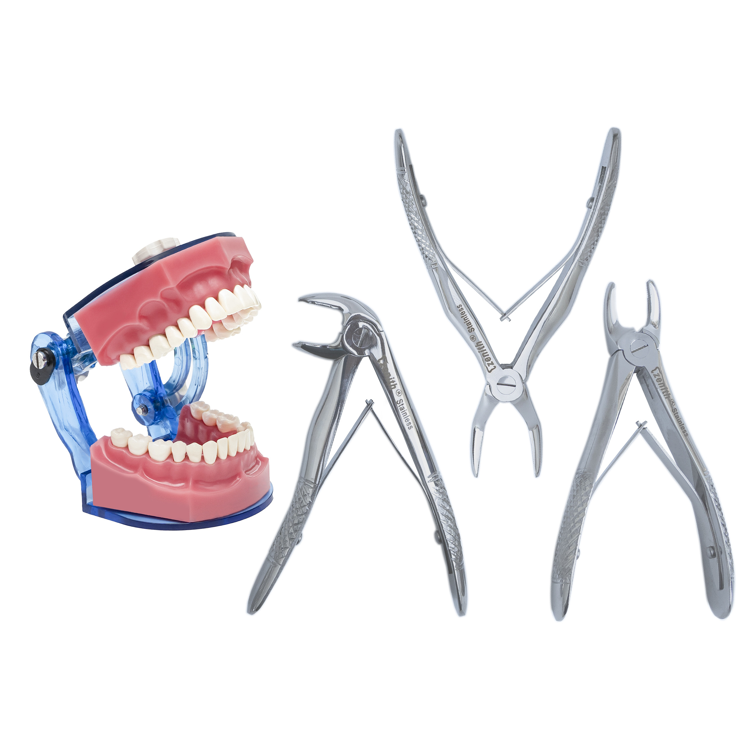 Extraction Forceps Peado S/7