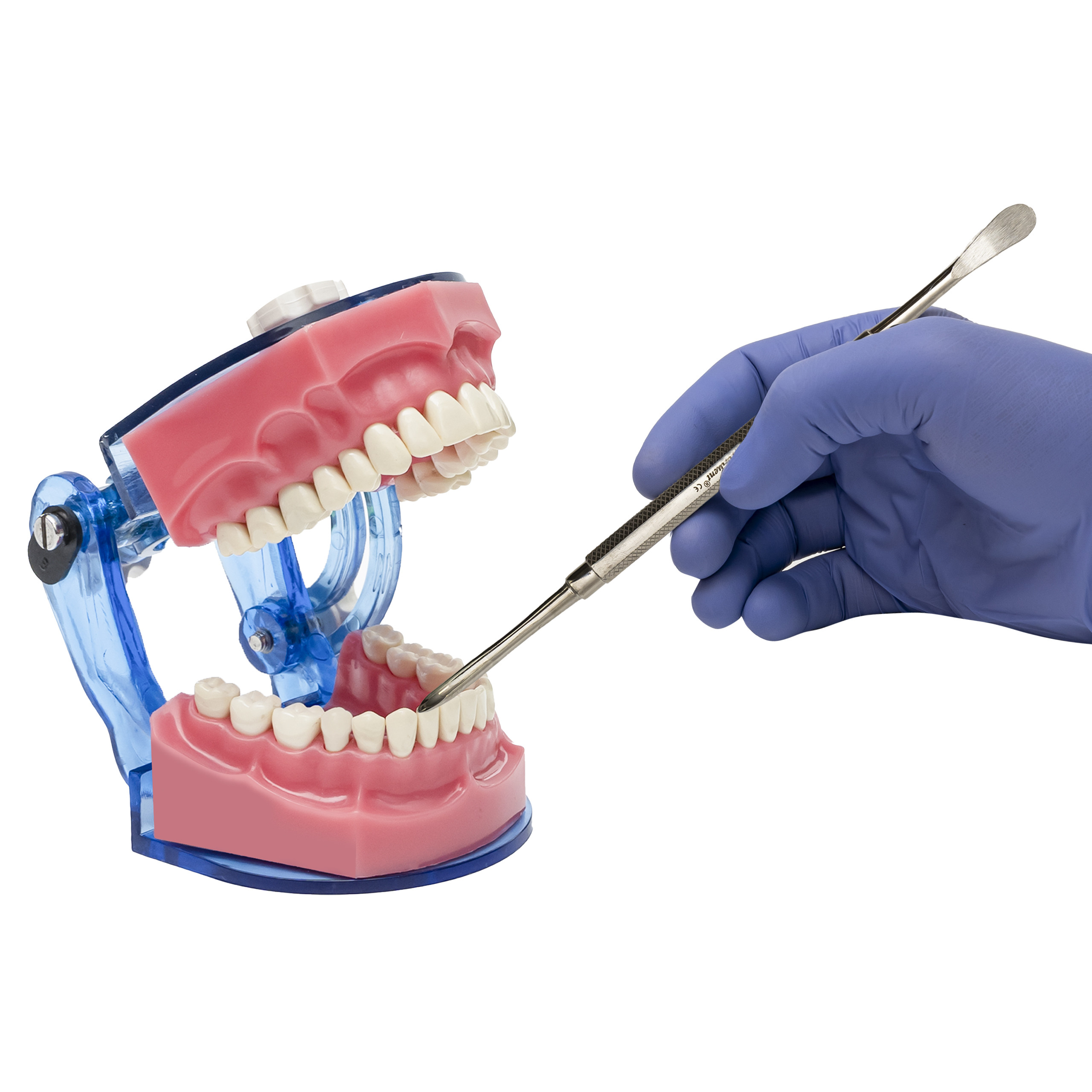 Modified Lecron Wax Carver