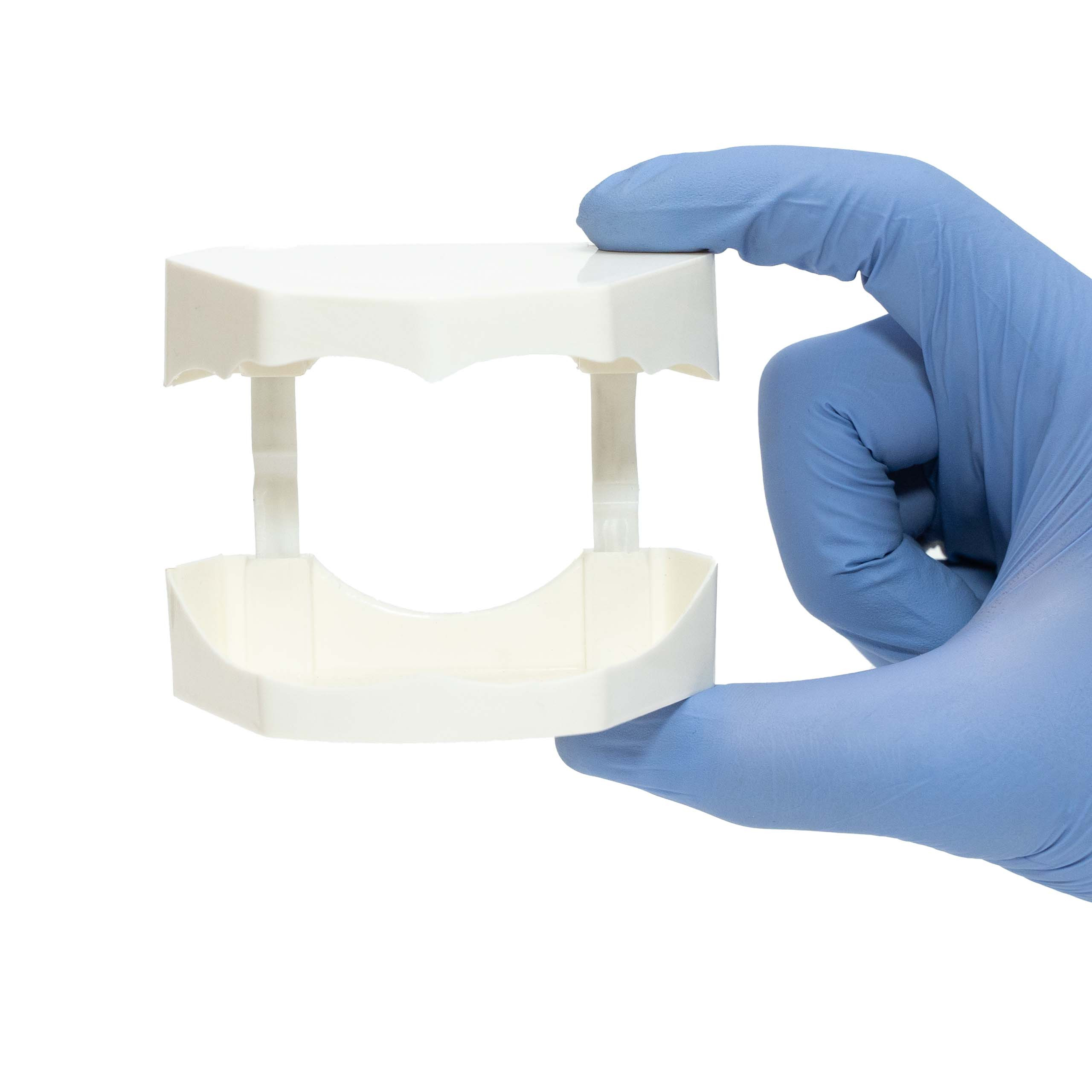 Orthodontic Plastic Model Bose