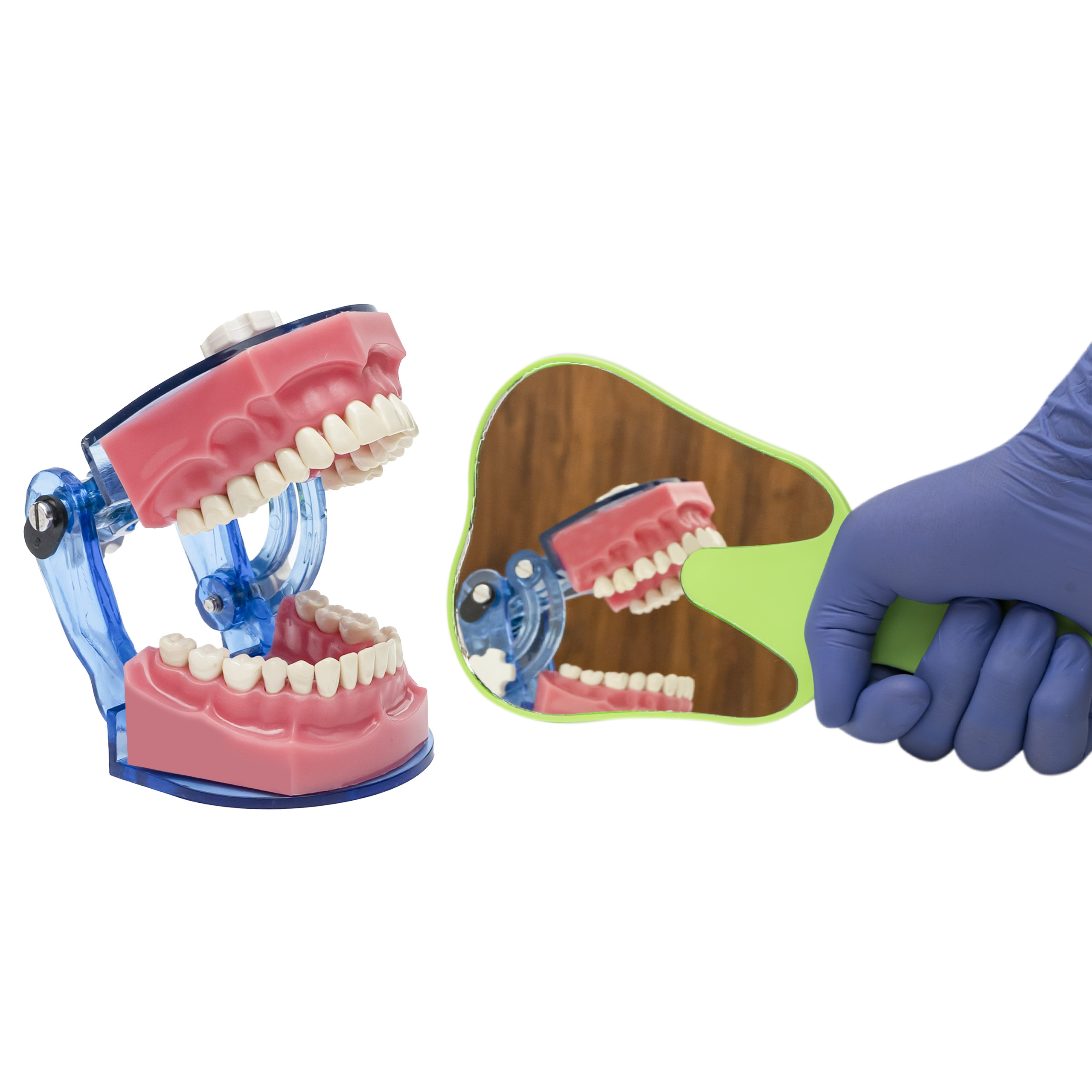 Dental Face Mirror/ Tooth Shaped Hand Mirror