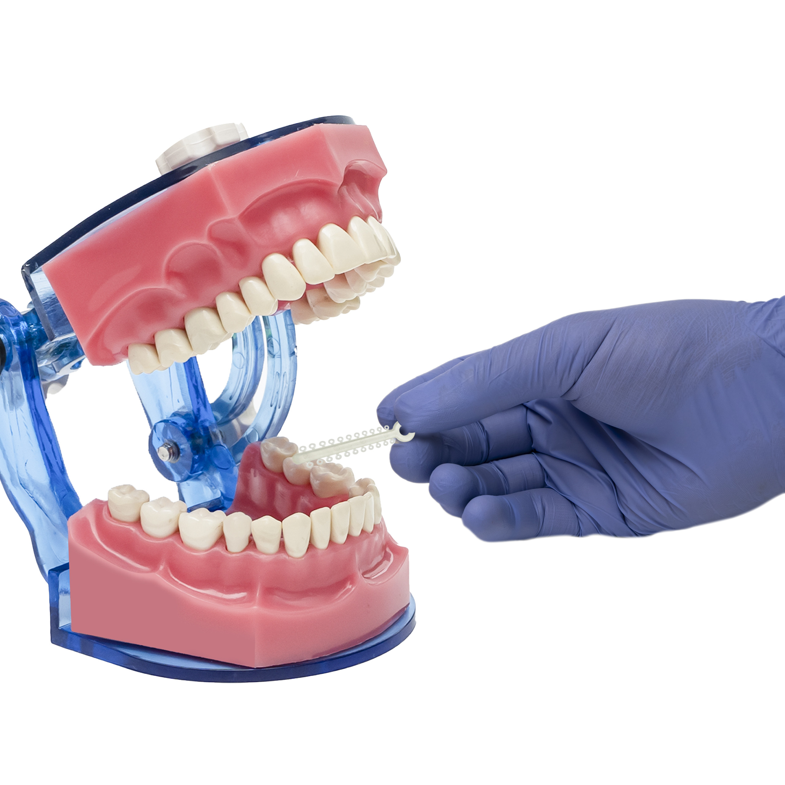 Libral Captain Ortho Ligature Ties