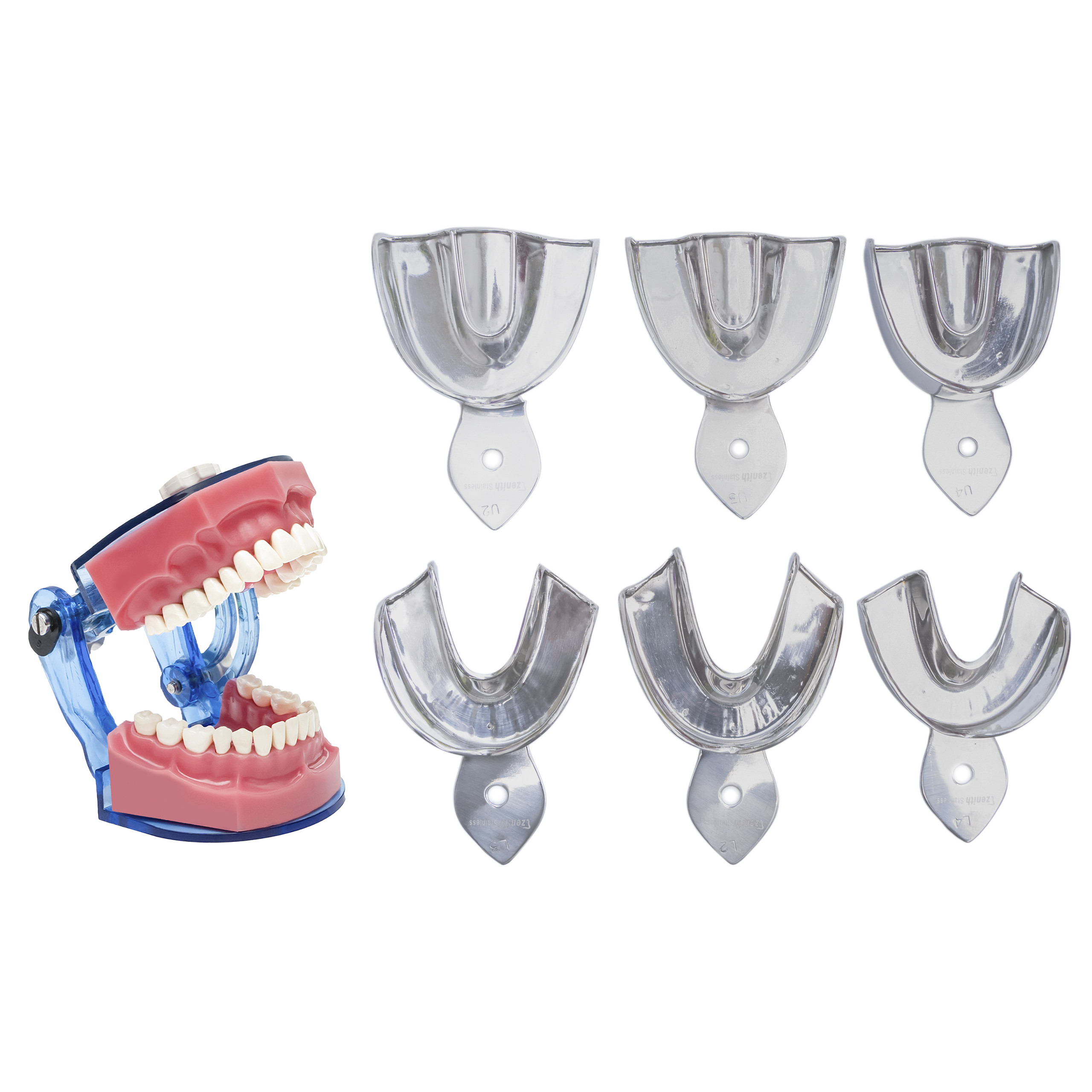Impression Trays Dentulous Non-Perforated Rim Lock set of 6