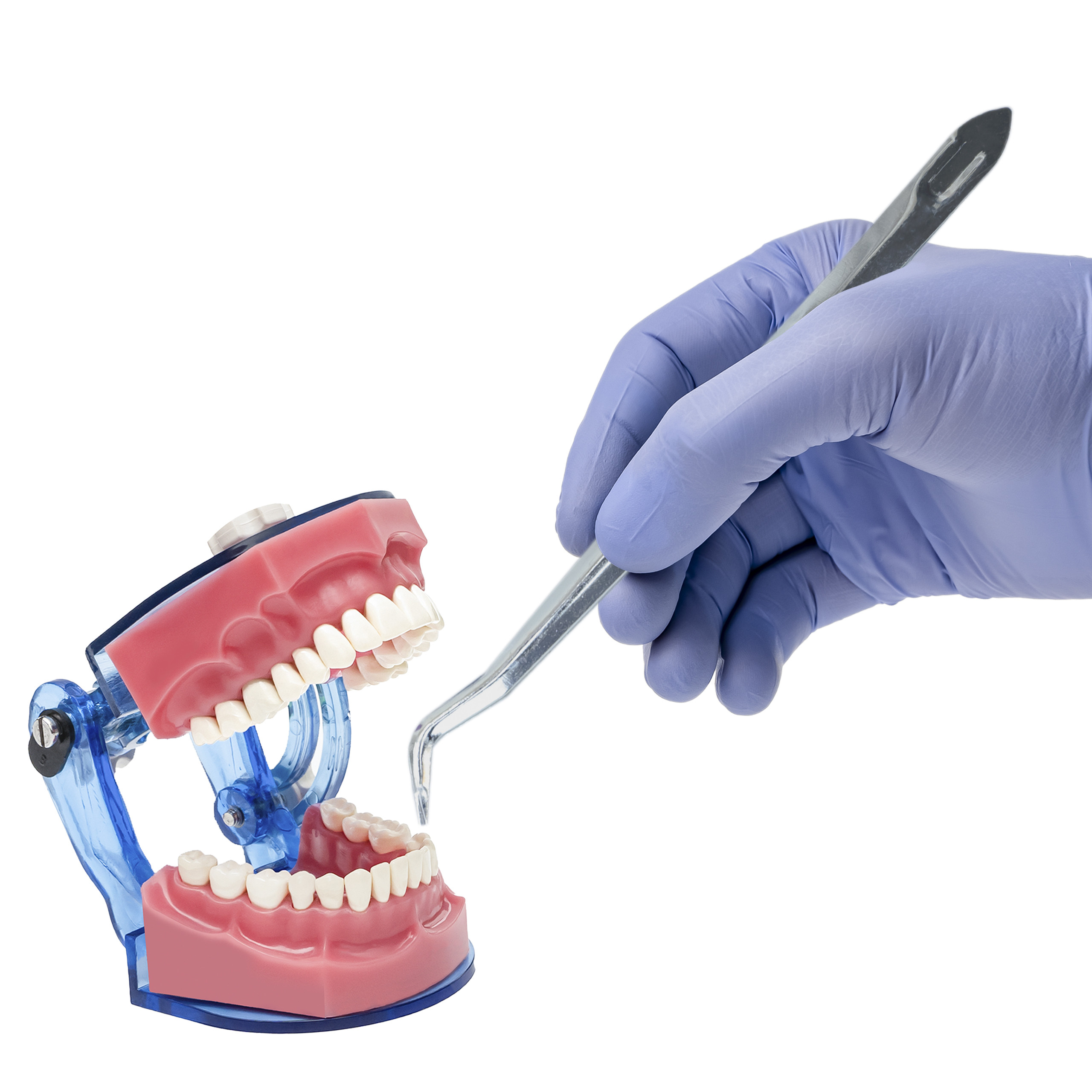 PMT Set With Metallic Tweezer
