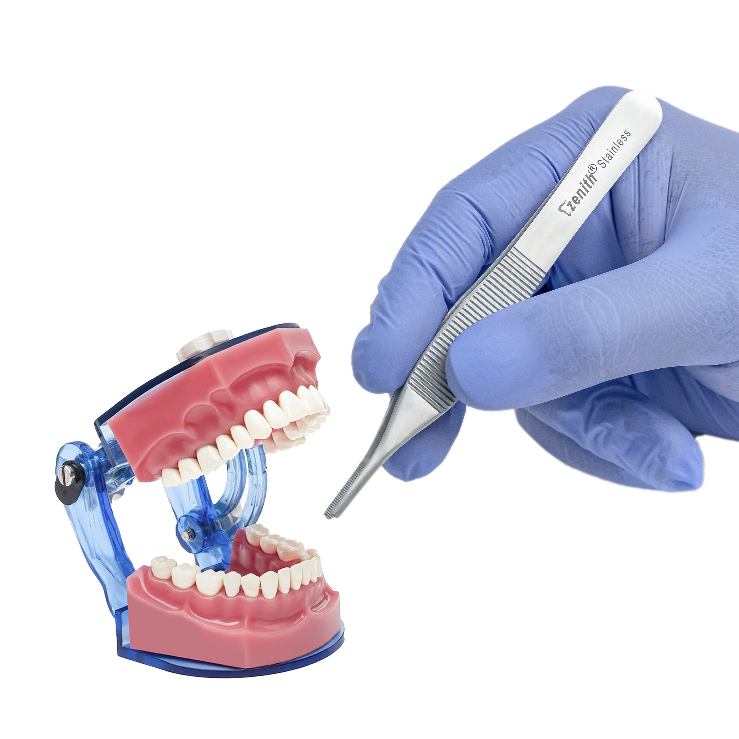 Adson Tissue Holder Toothed