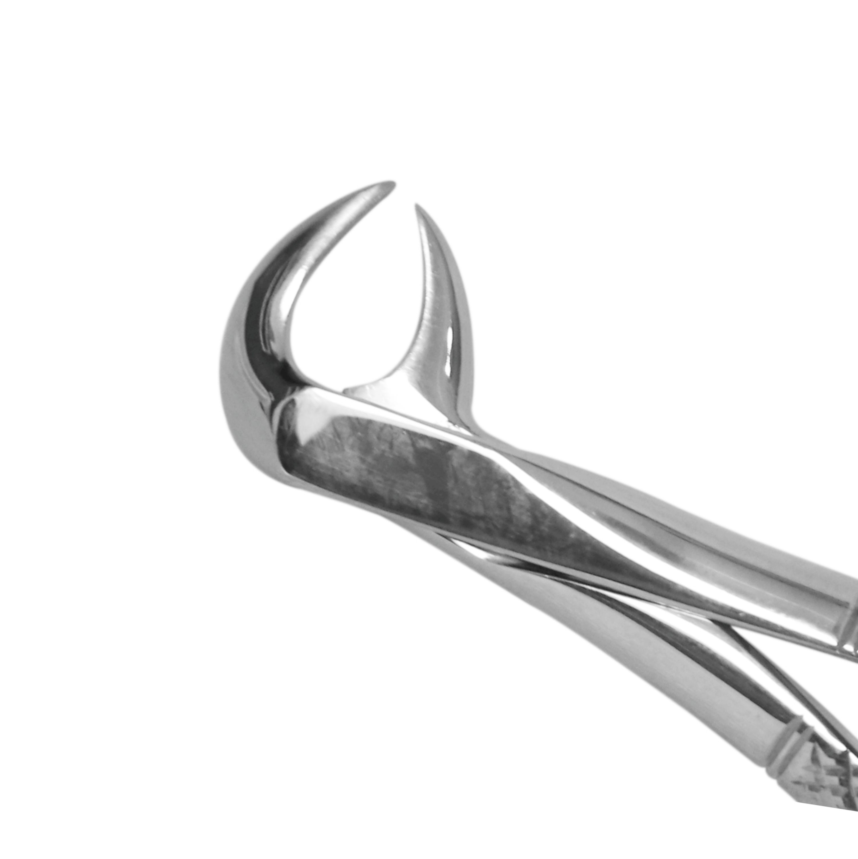 Trust & Care Tooth Extraction Forcep Lower Molars Cow Horn Fig No. 86A Standard