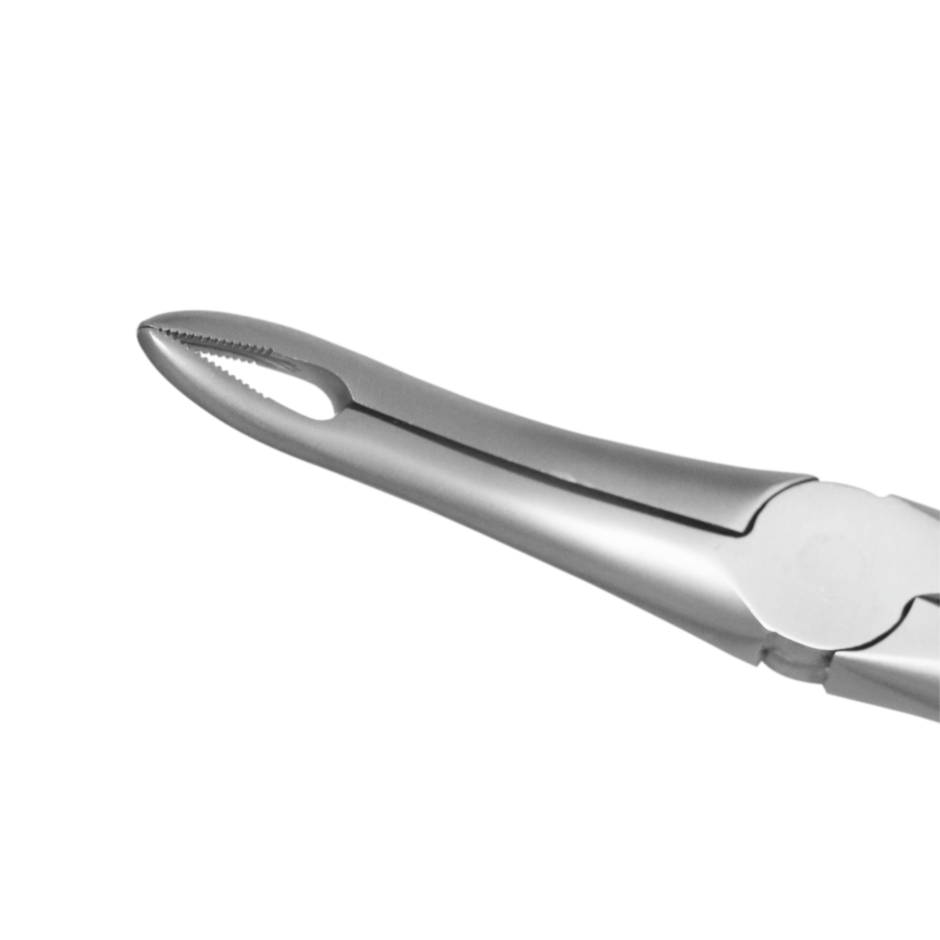 Trust & Care Tooth Extraction Forcep Upper Roots Fig No. 44 Standard