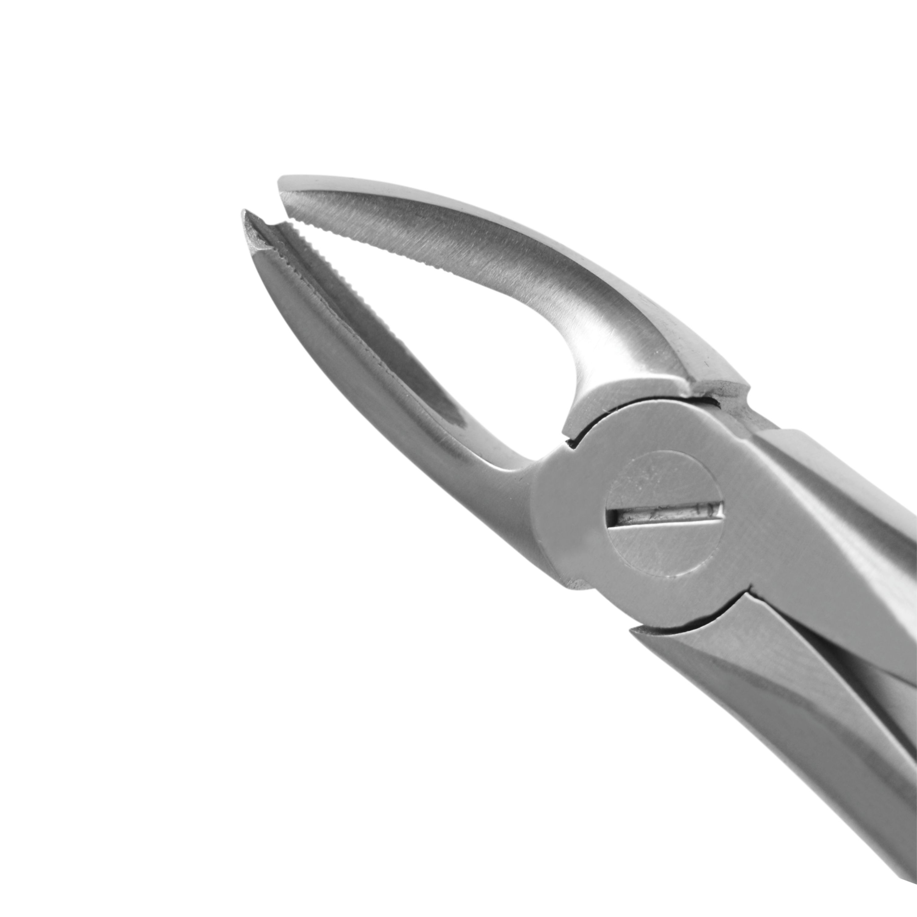 Trust & Care Tooth Extraction Forcep Upper Molars Right Fig No. 17 Premium