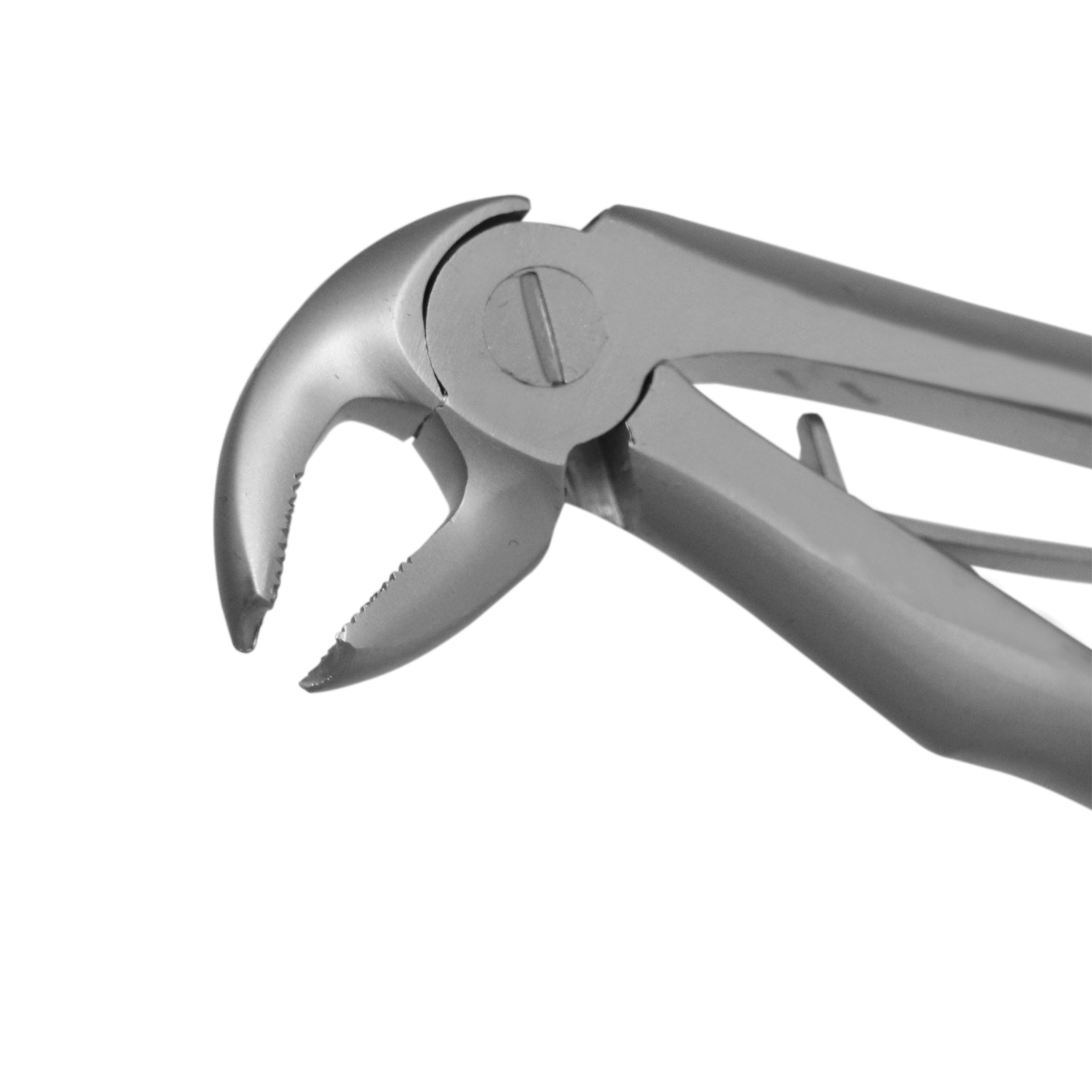 Trust & Care Extraction Forcep Lower Molars (Peedo) T-066 Standard