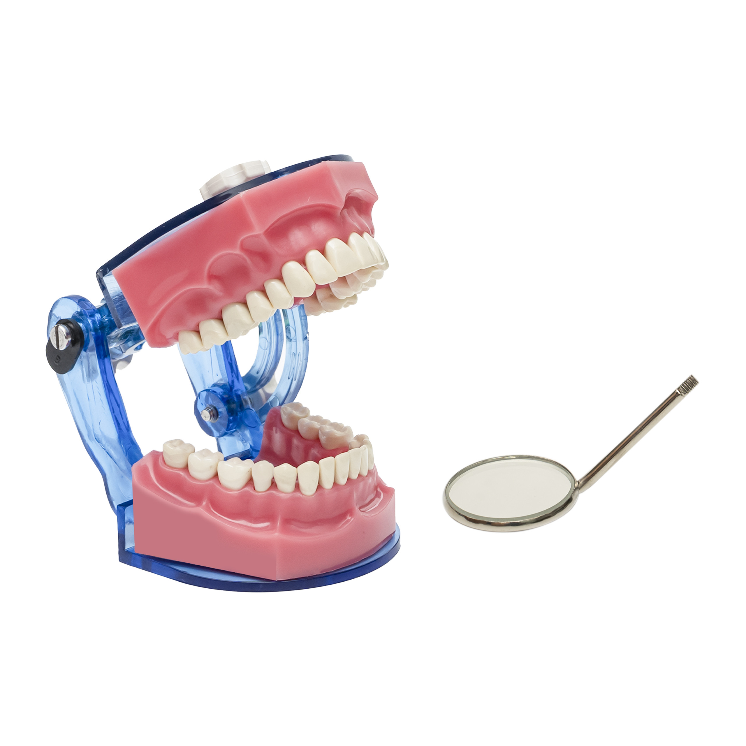 Mouth Mirror Tops (Plain) Set Of 12pcs