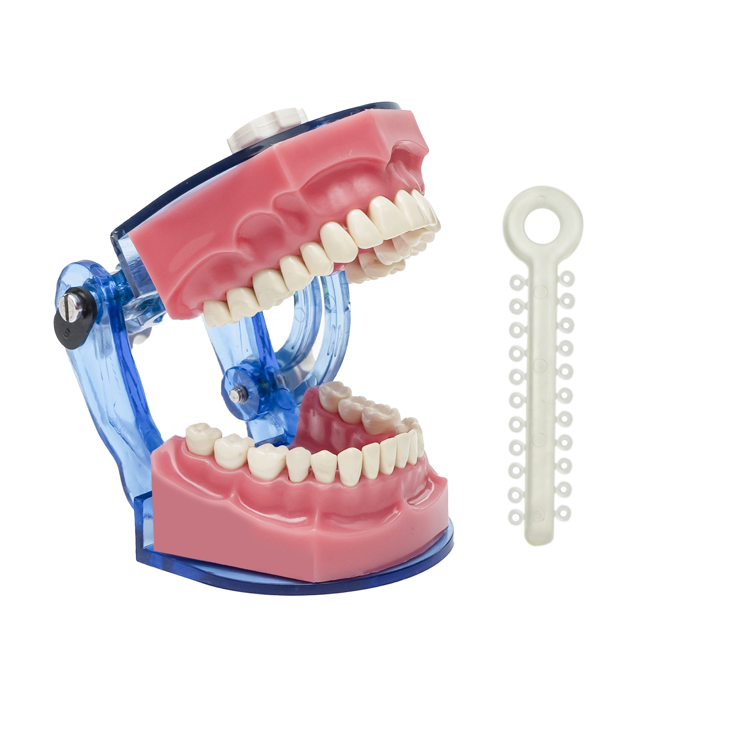 Libral Captain Ortho Ligature Ties