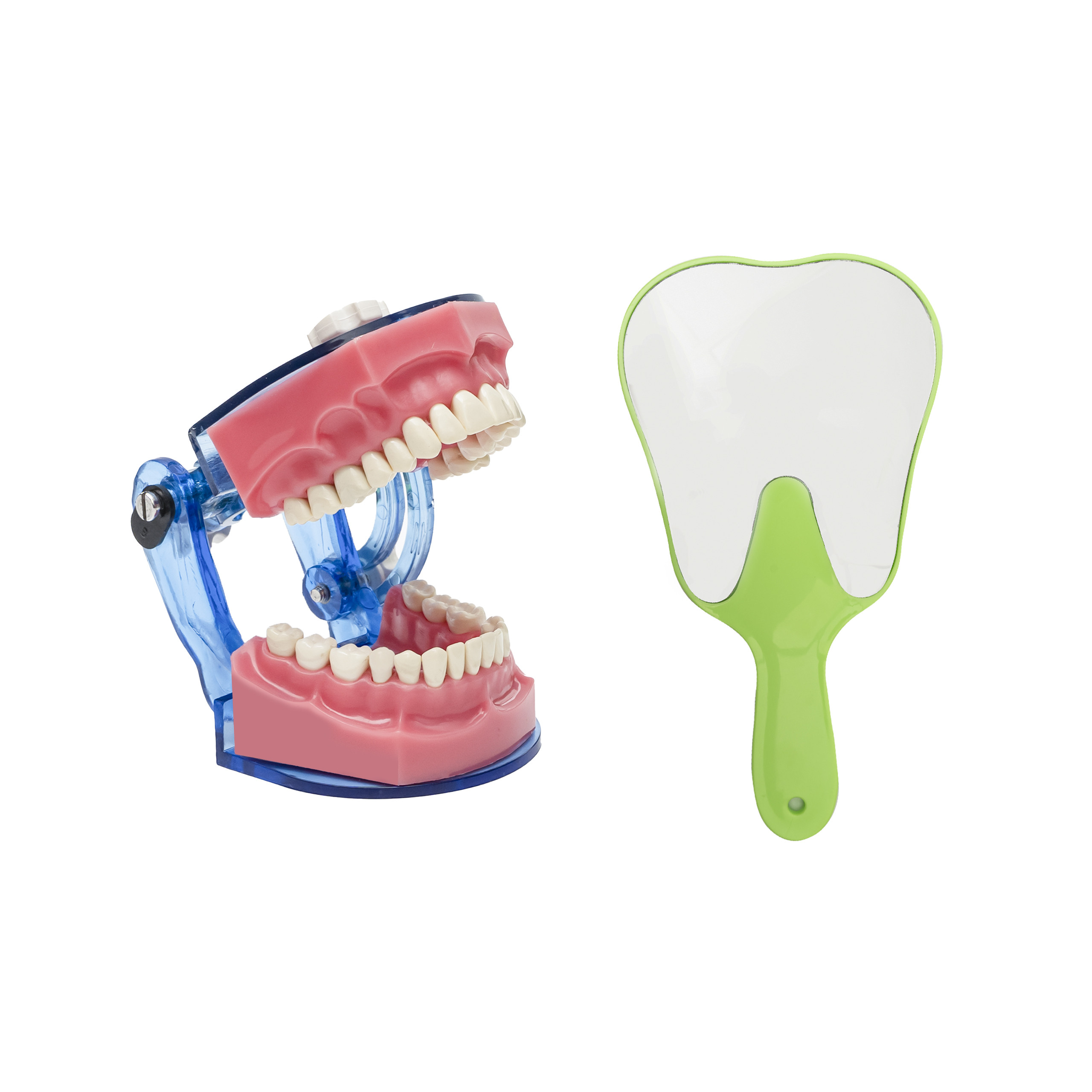 Dental Face Mirror/ Tooth Shaped Hand Mirror