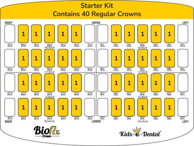 Bioflx Crowns - Posterior First & Second Molar Kit (Starter Kit ) 40 Crowns