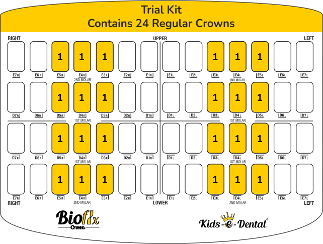 Bioflx Crowns - Posterior First & Second Molar Kit (Trial Kit ) 24 Crowns