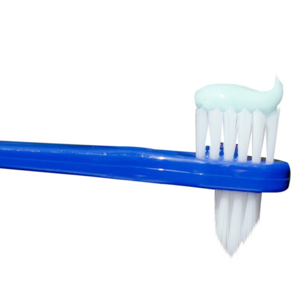 Stim Denture Brush Dental Cleansing Brush (Pack Of 2)