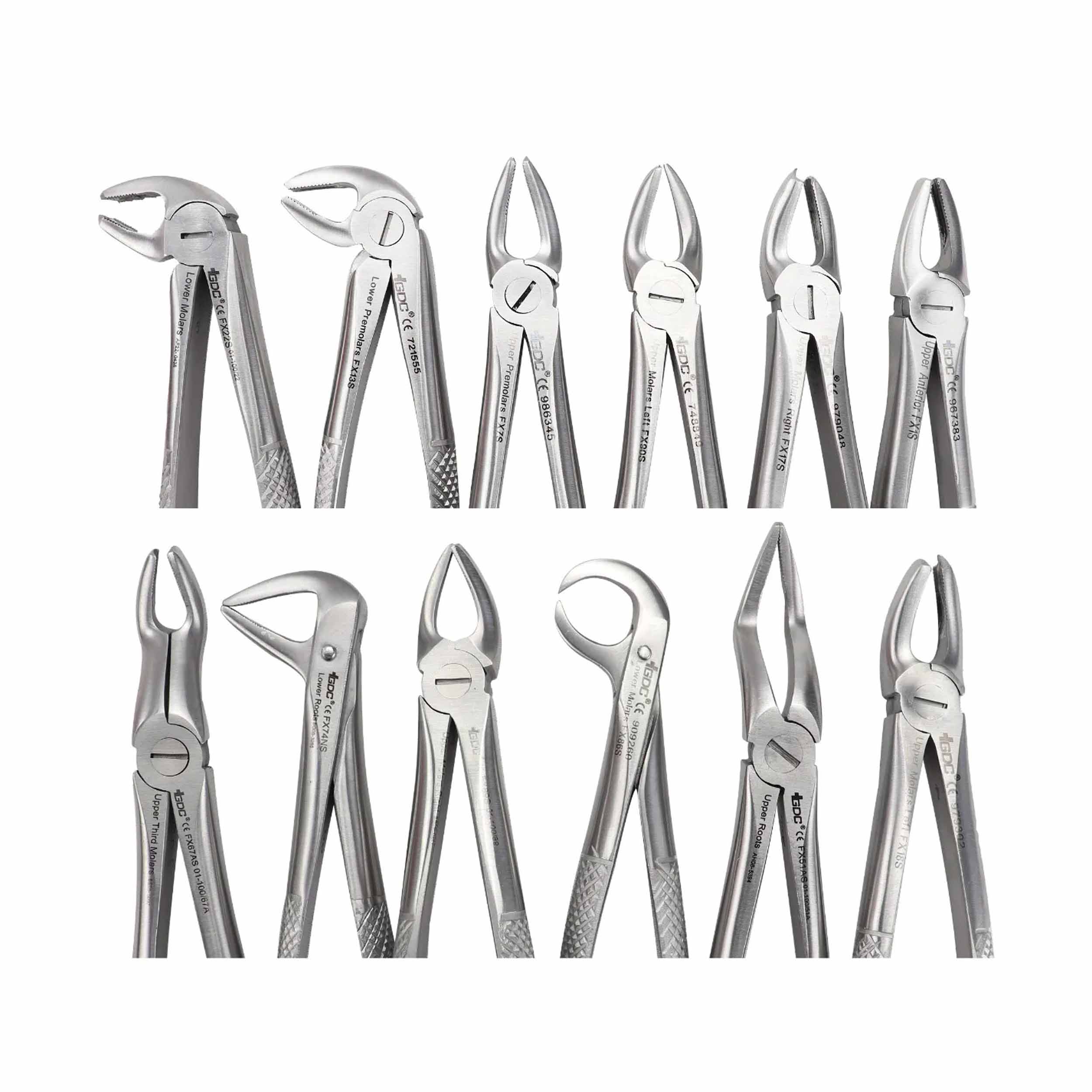 GDC Extraction Forceps Standard S/12 Pouch