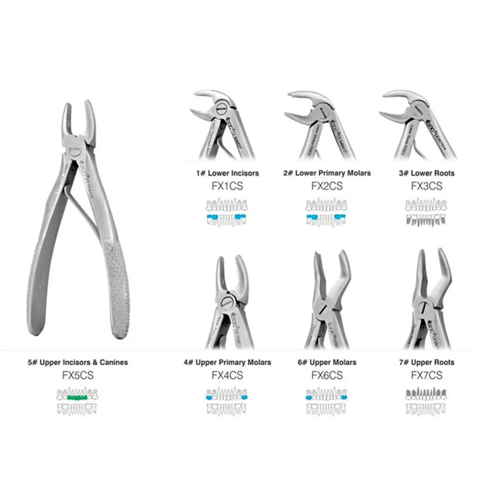 Laboz Extraction Forceps Pedo Set Of 7 In Pouch Standard