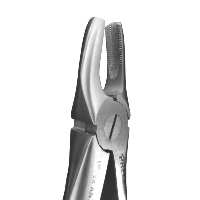 Extraction Forceps DF Adult Upper Anteriors #01 - Precision