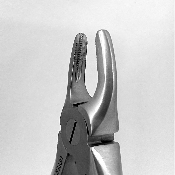 Extraction Forceps DF Pedo Upper Anteriors 5 #560 - Precision