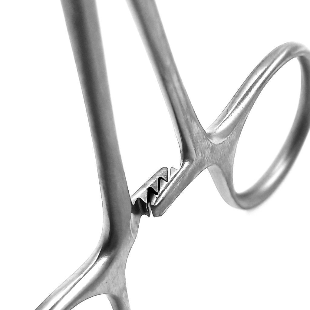 Artery Forceps Curved 14cm - Precision