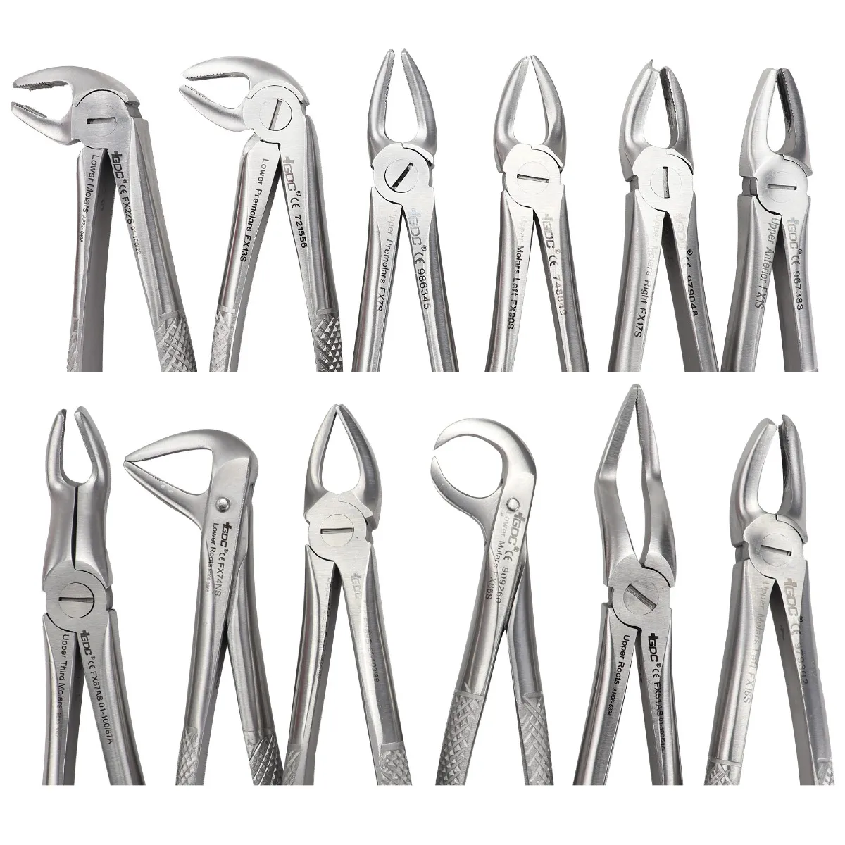 Gdc Extraction Forceps In Pouch Efsp12