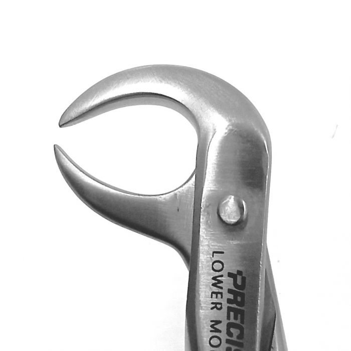 Cow Horn Extraction Forceps DF Adult Lower Molars #86 - Precision
