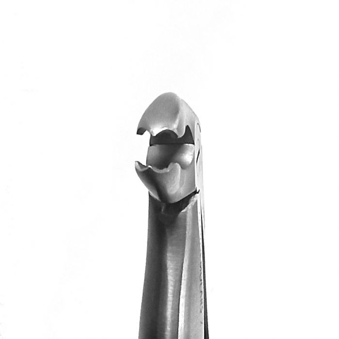 Extraction Forceps DF Pedo Lower Molars 2 #566 - Precision