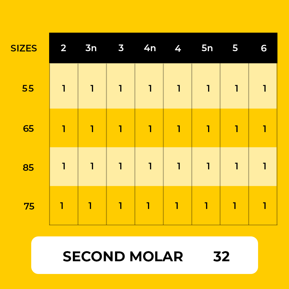 Posterior Crowns  Primary Second Molar Trial Kit (E)