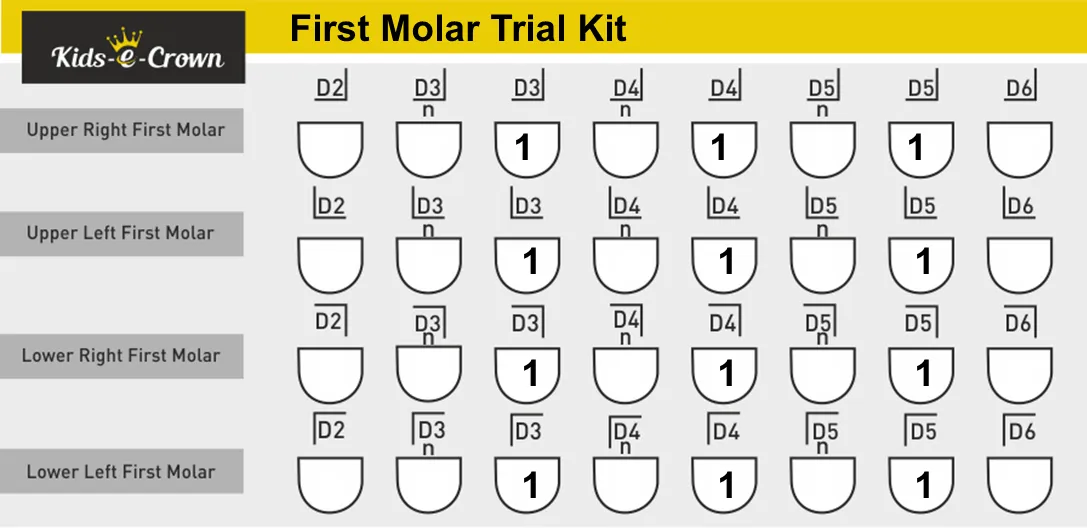 Posterior Crowns  Primary First Molar Trial Kit (D)